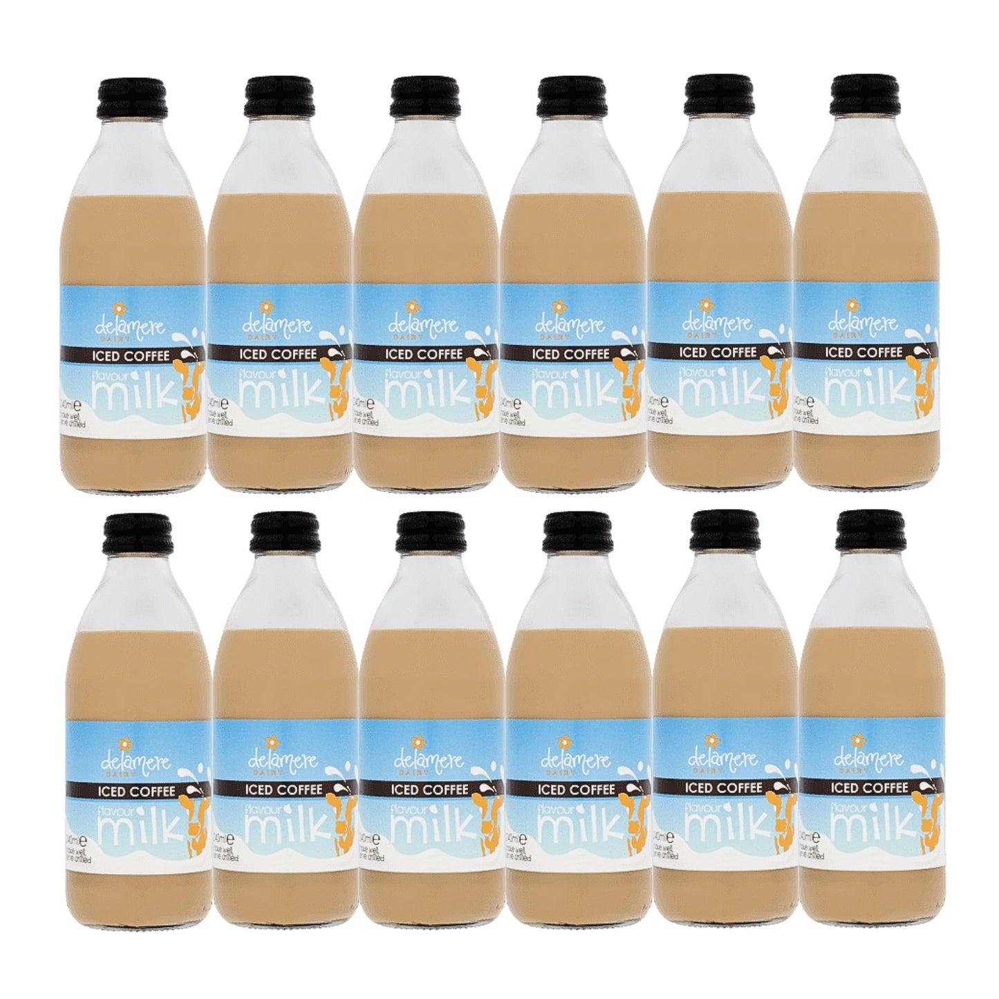 Delamere Dairy iced coffee flavoured milk 12x240ml glass bottles on white background