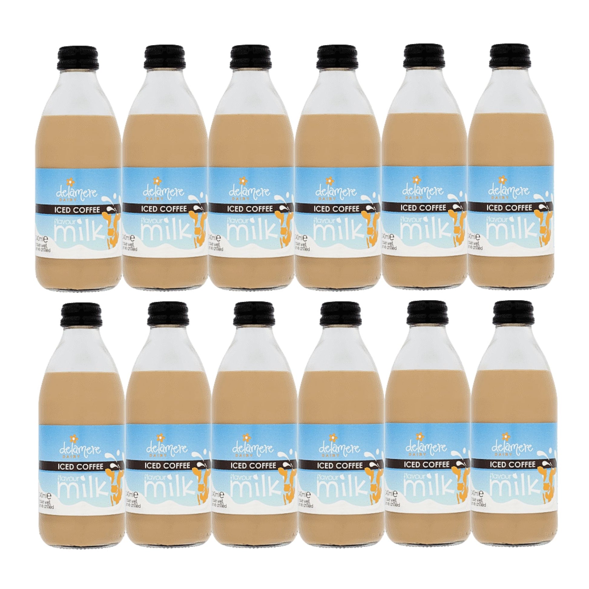 Delamere Dairy iced coffee flavoured milk 12x240ml glass bottles on white background