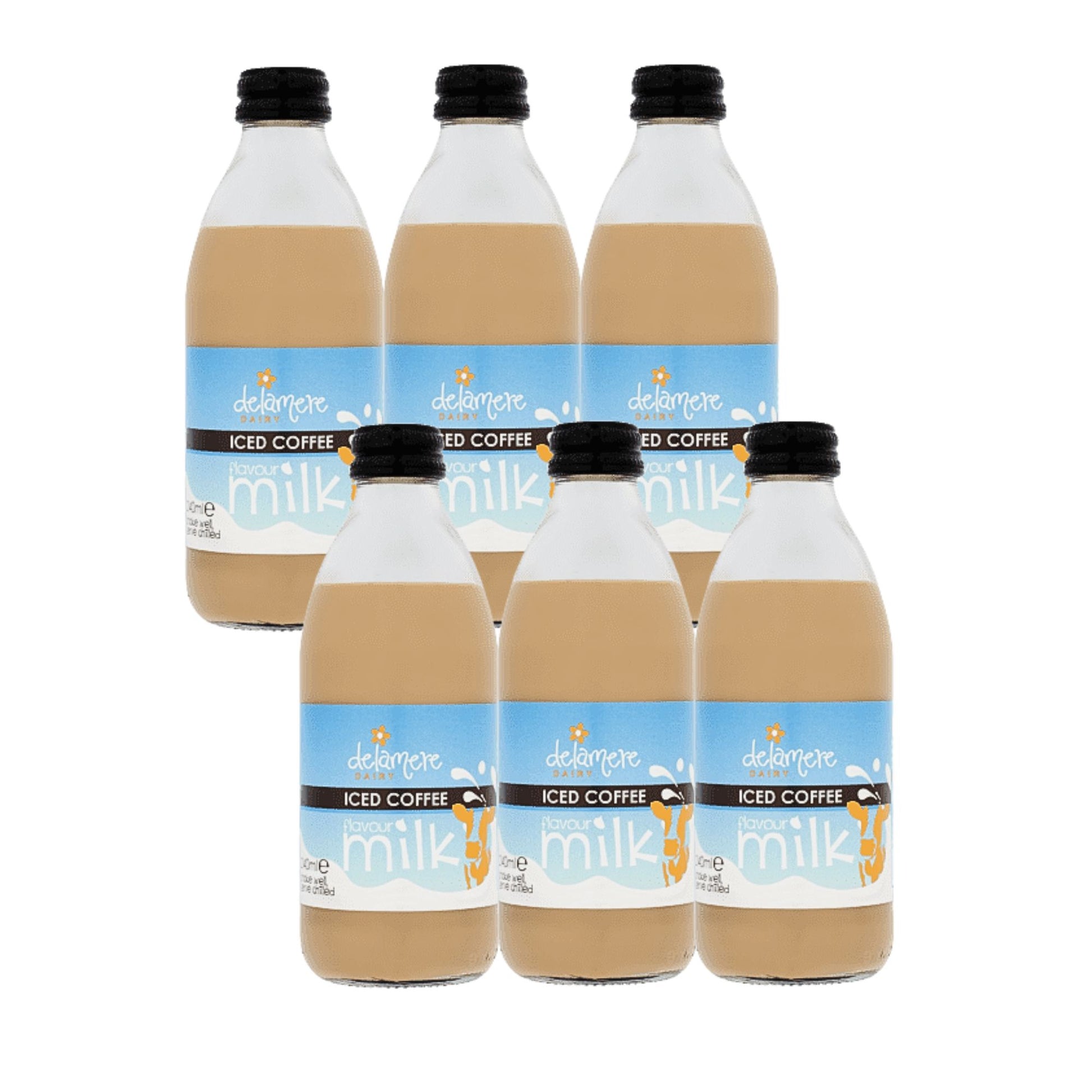 Delamere Dairy iced coffee flavoured milk 6x240ml glass bottles on white background